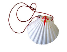 100 coquilles Saint-Jacques - Coquilles pèlerines avec croix