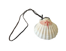 Vieira - Concha del Pilgrim cordon en cuir