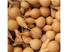 Gourde Pilgrim naturelle moyenne
