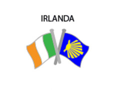 Pin Metal Drapeau Irlande Chemin Santiago