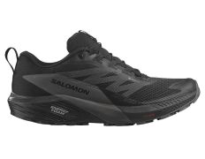 Chaussures Salomon Sense Ride 5 GTX noir