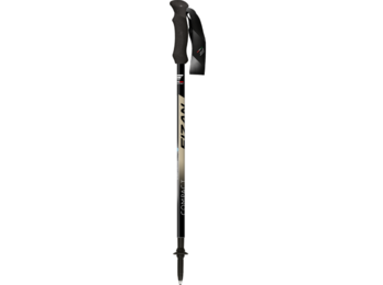 Fizan Compact 158 grammes Arena