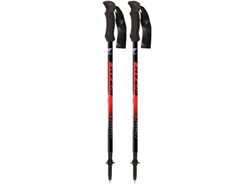 Fizan Compact 158 grammes Rouge