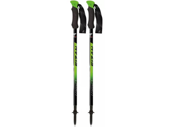 Fizan Compact 158 grammes vert