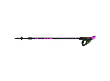 Paire de bâtons Fizan Nordic Walking Speed