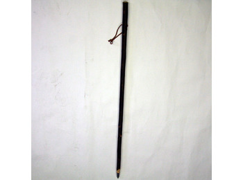 Bâton de pèlerin Garçon alezan corteza