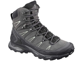 Salomon X Ultra Trek GTX Boot W Gris