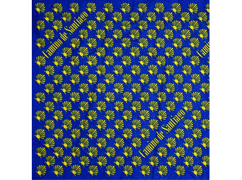 Cache-cou MyL Blue Star Camino de Santiago