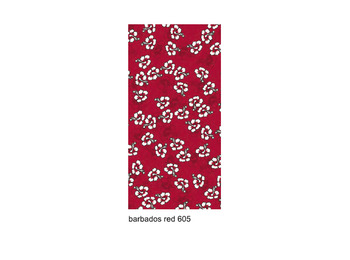 Braga Wind Barbade 1605