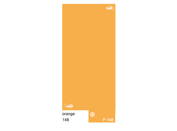 Braga Vent Polarwind Orange WP148