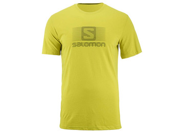 T-shirt Salomon Blend Logo SS TEE Lima