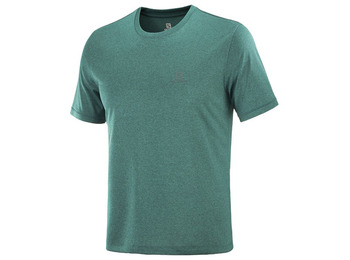 T-shirt Salomon Explore Vert