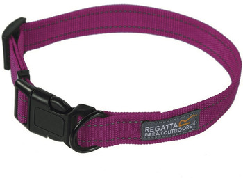 Collier chien Regatta Comfort