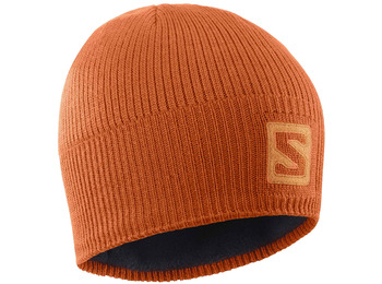 Bonnet Salomon Logo Beanie