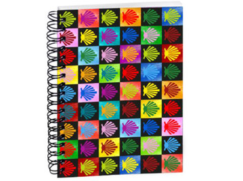 Carnet de coquillages colorés