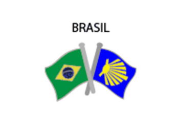 Pin Metal Drapeau Brésil Chemin Santiago
