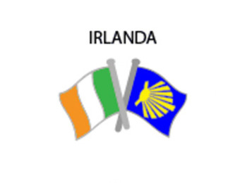Pin Metal Drapeau Irlande Chemin Santiago