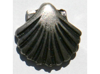 Plaquettes Vieira Épingle
