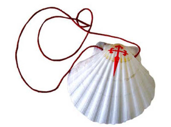 Pétoncle - Coquille du Pèlerin