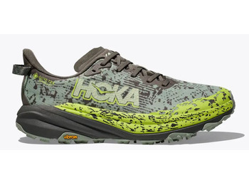 Chaussure Hoka Speedgoat 6 GTX Gris/Vert