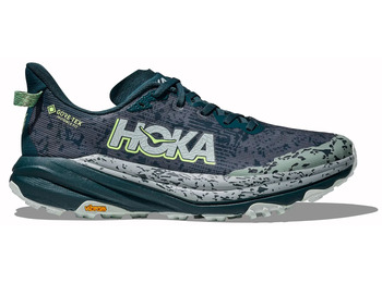 Chaussure Hoka Speedgoat 6 GTX Gris/Vert Mer
