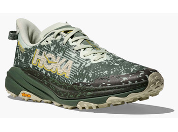 Chaussures Hoka Speedgoat 6 GTX vertes