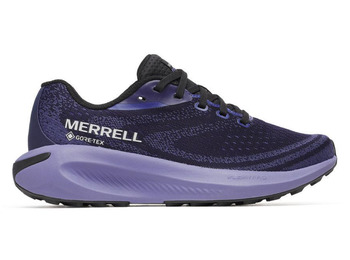 Chaussures Merrell Morphlite GTX W Bordeaux