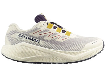 Chaussure Salomon Aero Blaze 3 GRVL GTX W blanche/bleue