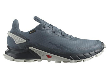 Chaussure Salomon Alphacross 4 GTX Gris