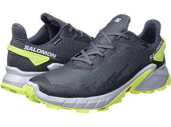 Chaussure Salomon Alphacross 4 GTX Gris/Lime