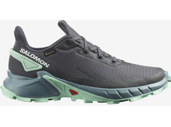 Chaussures Salomon Alphacross 4 GTX W Gris/Turquoise