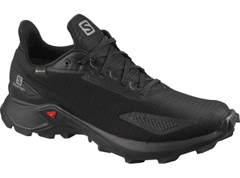 Zapatilla Salomon Alphacross Blast GTX Noir