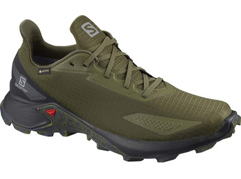 Zapatilla Salomon Alphacross Blast GTX Vert