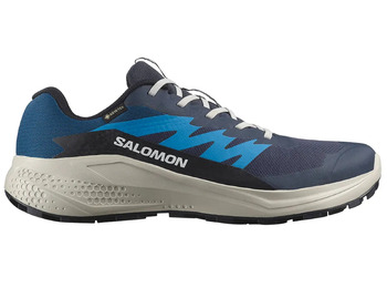 Chaussure Salomon Alphaglide GTX bleue