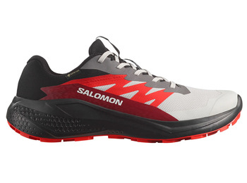 Chaussure de course Salomon Alphaglide GTX Gris/Rouge/Noir