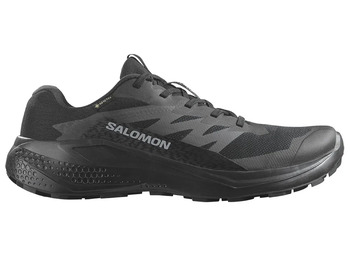 Chaussure Salomon Alphaglide GTX noire