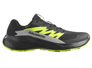Chaussure de course Salomon Alphaglide GTX Noir/Vert citron