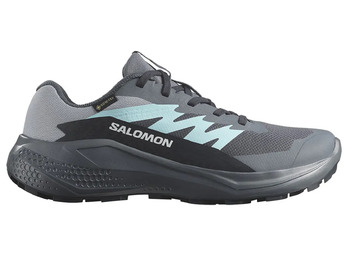 Chaussure Salomon Alphaglide GTX W Gris/Aigue-marine