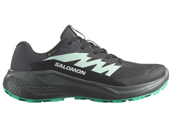 Chaussure Salomon Alphaglide GTX W Noir/Vert