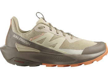 Baskets Salomon Elixir Active W marron/beige