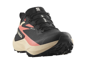 Chaussures Salomon Genesis GTX W Noir/Rose
