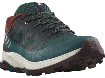 Baskets Salomon Outrise Gtx Vert/Marron