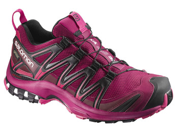 Zapatilla Salomon XA PRO 3D GTX W Adresse/Negro
