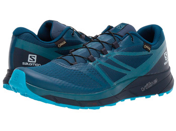 Zapatillas Salomon Sense Ride 2 Bleu/noir gtx