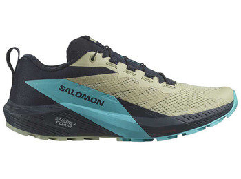 Chaussure Salomon Sense Ride 5 Bleu/Beige