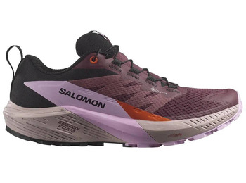 Chaussure de course Salomon Sense Ride 5 GTX Violet/Violet