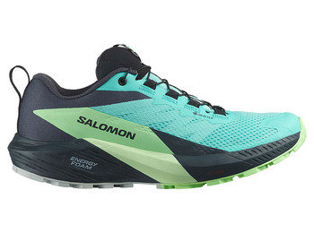 Chaussure Salomon Sense Ride 5 GTX W Bleu/Vert