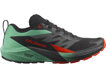 Chaussure Salomon Sense Ride 5 Nonir/Vert/Rouge