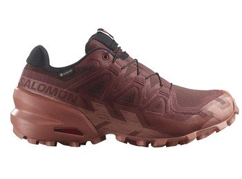 Chaussure Salomon Speedcross 6 GTX W Marron