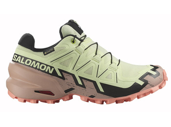 Chaussure Salomon Speedcross 6 GTX W Vert/Beige